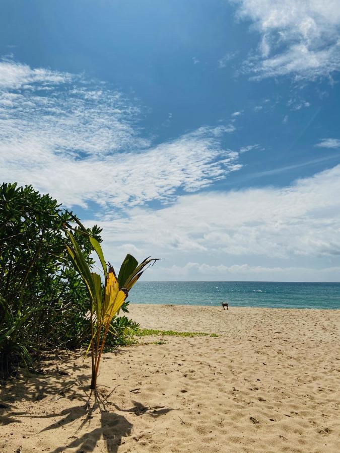 Sanjis The Seaside Cabanas แทนกาลเล ภายนอก รูปภาพ